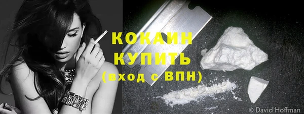 прущий лед Алзамай