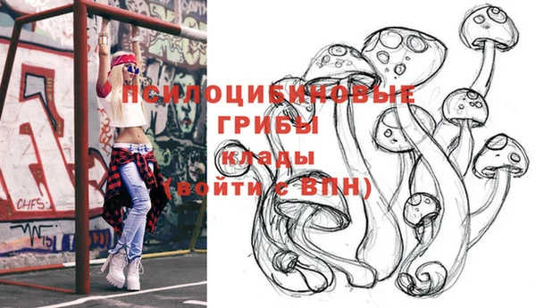дживик Алексеевка