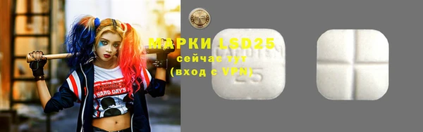 прущий лед Алзамай