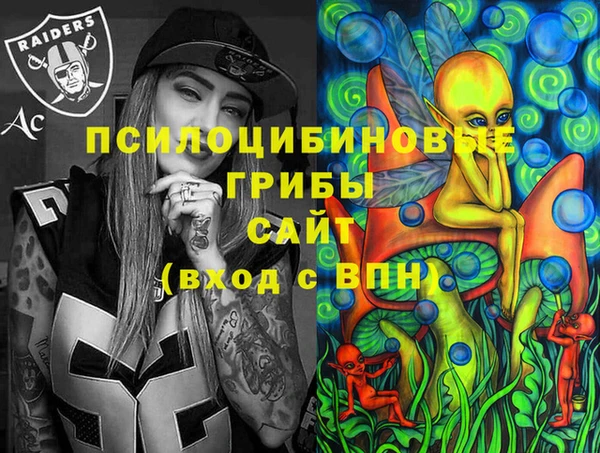 прущий лед Алзамай